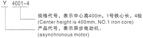 西安泰富西玛Y系列(H355-1000)高压YRKK5002-12/250KW三相异步电机型号说明